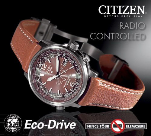 Citizen AS2031-14W portré kép