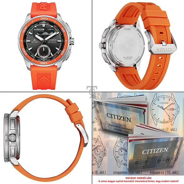 Citizen JV3000-13E portré kép