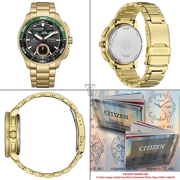 Citizen JV3002-51E portré kép