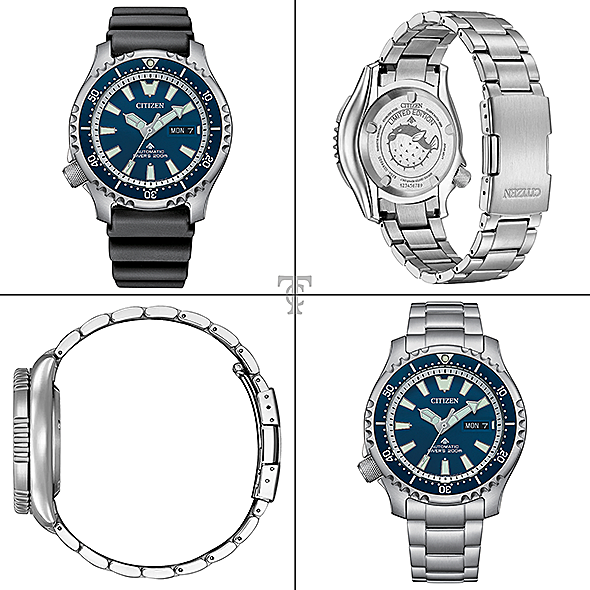Citizen NY0161-63L portré kép