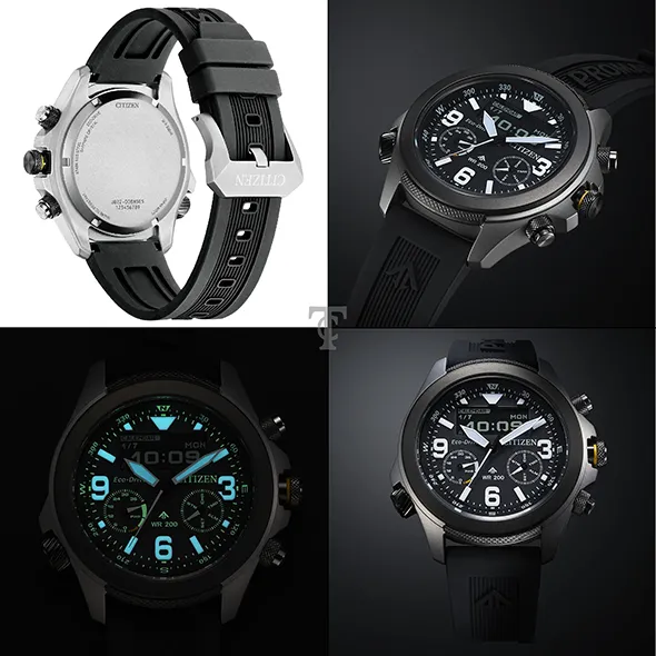 Citizen JV1007-07E portré kép