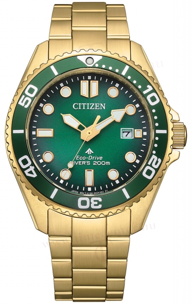 Citizen BN0262-59W karóra