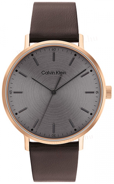 Calvin Klein CK25200051 karóra