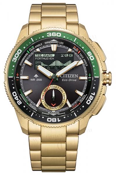 Citizen JV3002-51E karóra