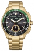 Citizen JV3002-51E karóra